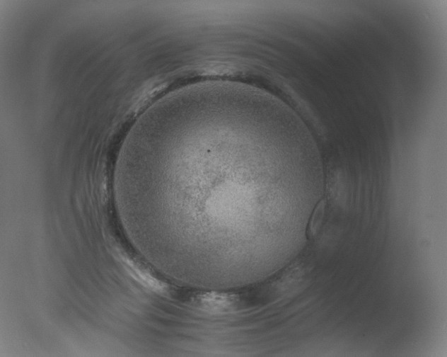 X0000078020261200610271241