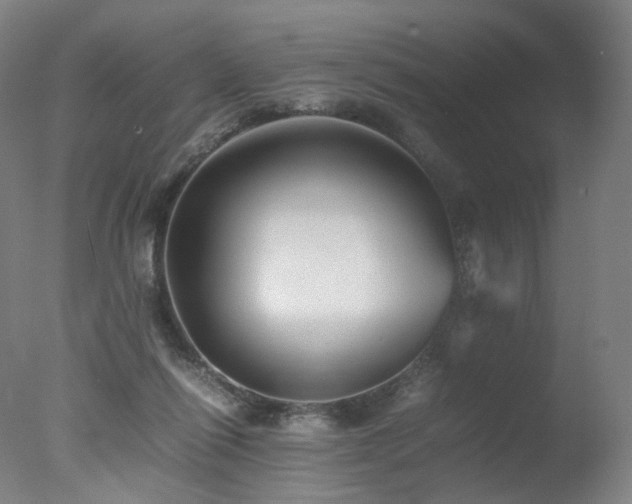 X0000078020262200610271241