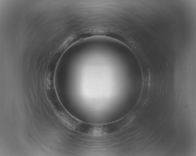 X0000078020264200610271241