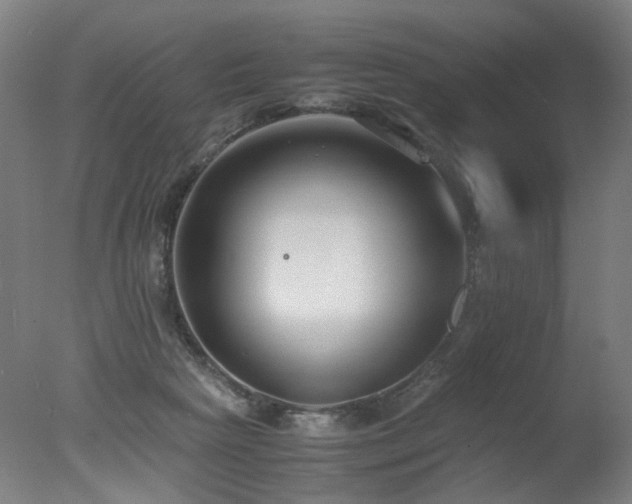 X0000078020265200610271241