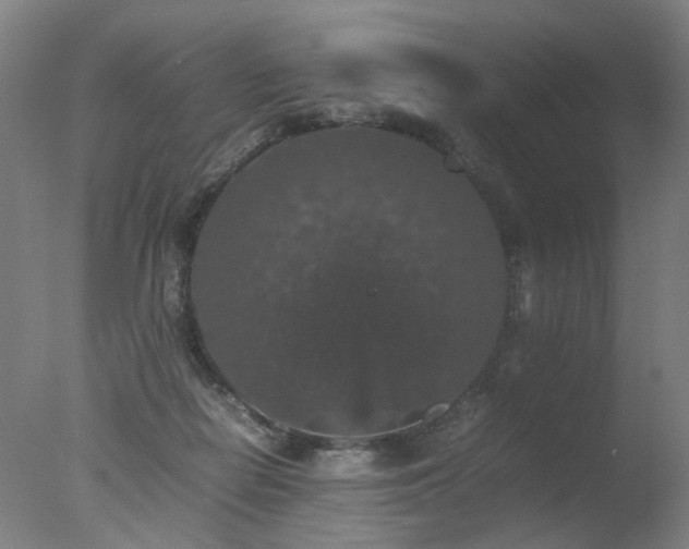 X0000078020266200610271241