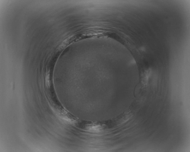 X0000078020267200610271241