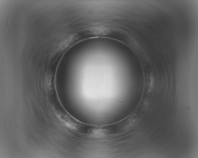 X0000078020268200610271241