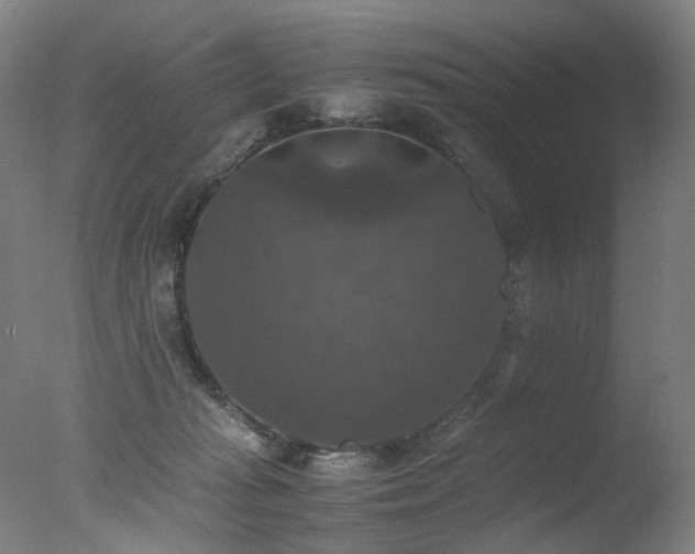 X0000078020269200610271241