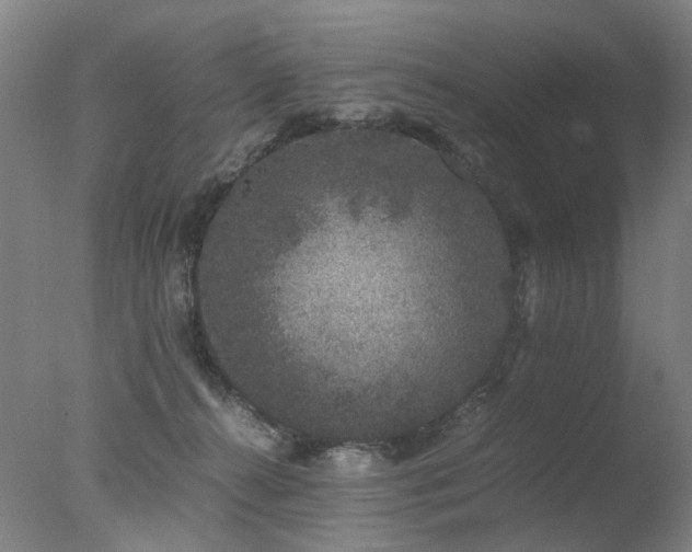 X0000078020272200610271241