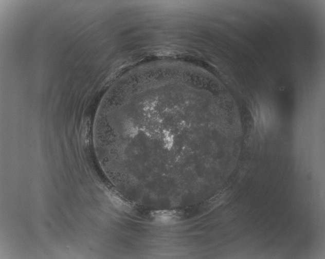 X0000078020273200610271241