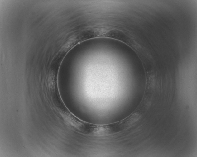 X0000078020274200610271241