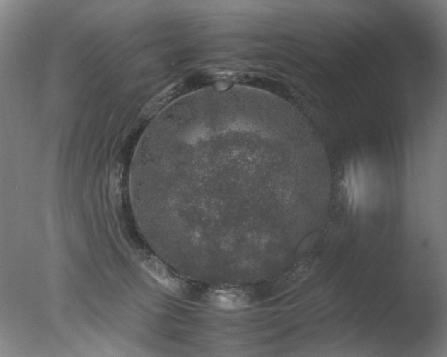 X0000078020275200610271242