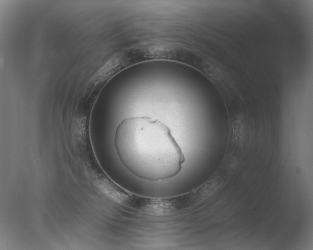 X0000078020278200610271242