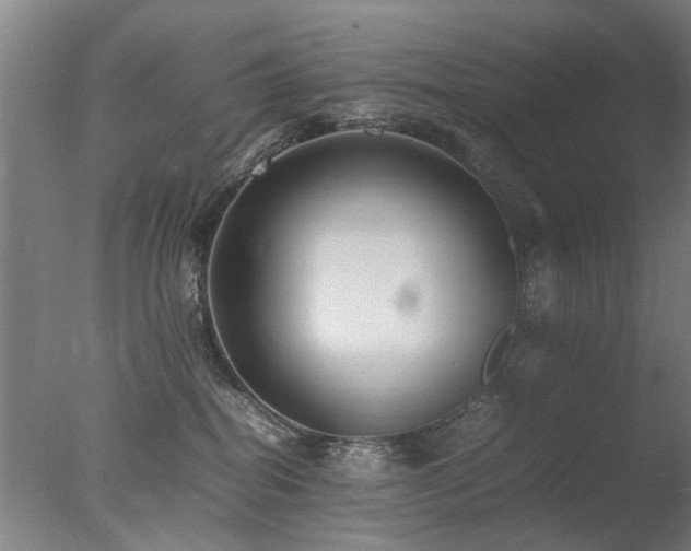 X0000078020282200610271242