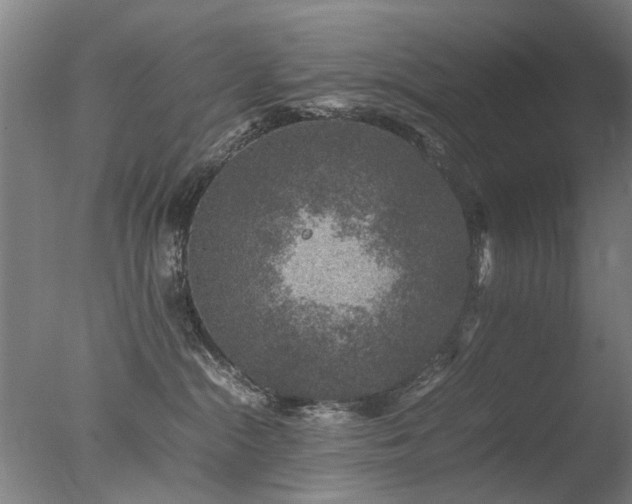 X0000078020284200610271242