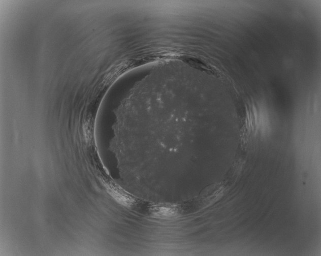 X0000078020285200610271242