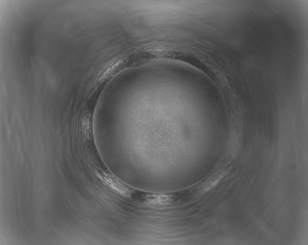 X0000078020288200610271242