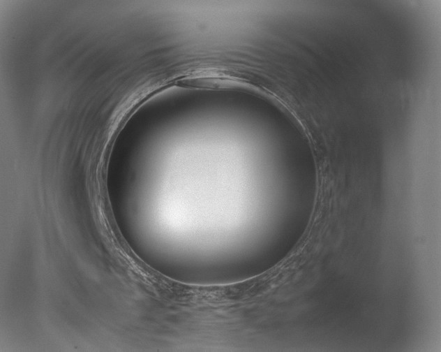 X0000078020289200610271241