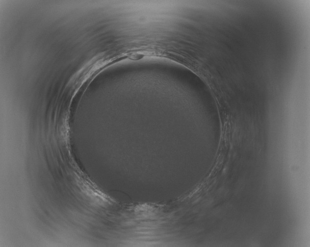 X0000078020290200610271241