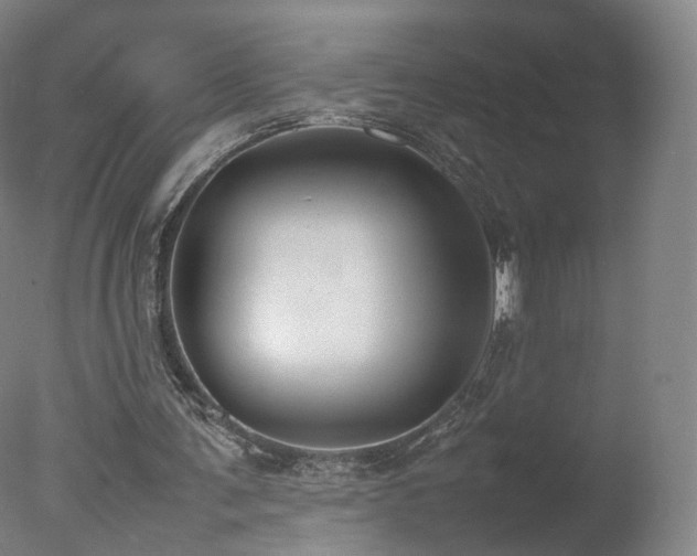 X0000078020291200610271241