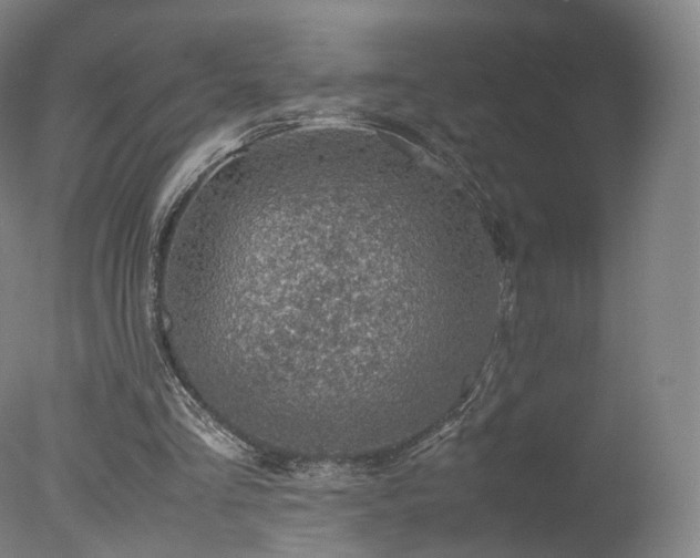 X0000078020293200610271241