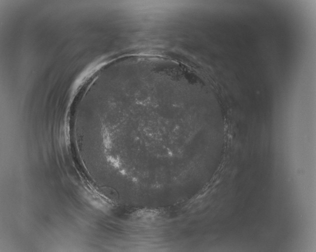 X0000078020294200610271241