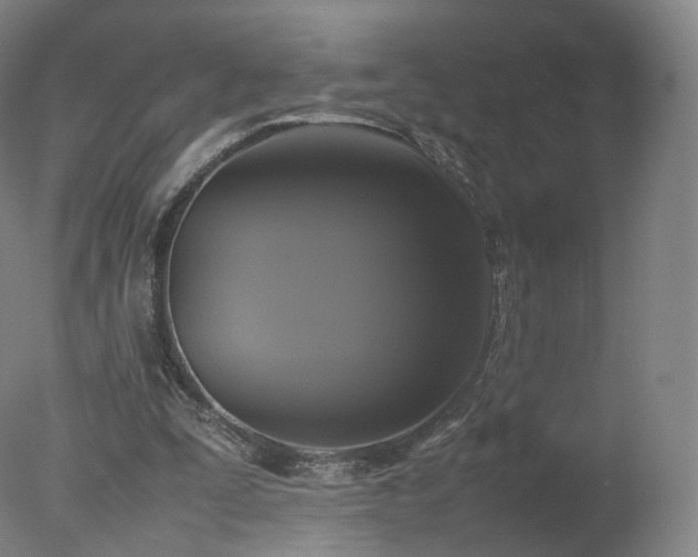 X0000078020295200610271241