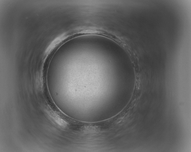 X0000078020296200610271241