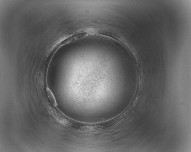 X0000078020297200610271241