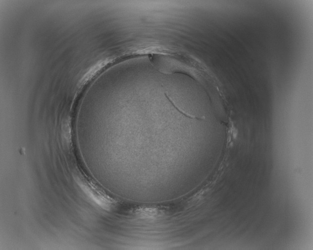 X0000078020298200610271241