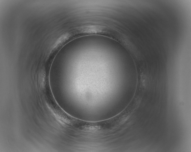 X0000078020304200610271241