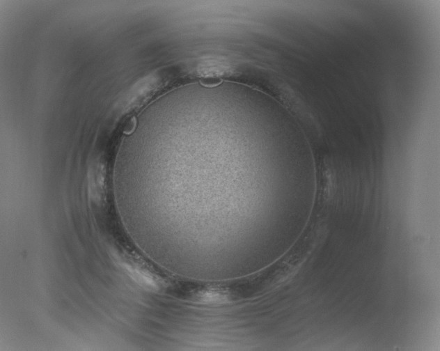 X0000078020308200610271241