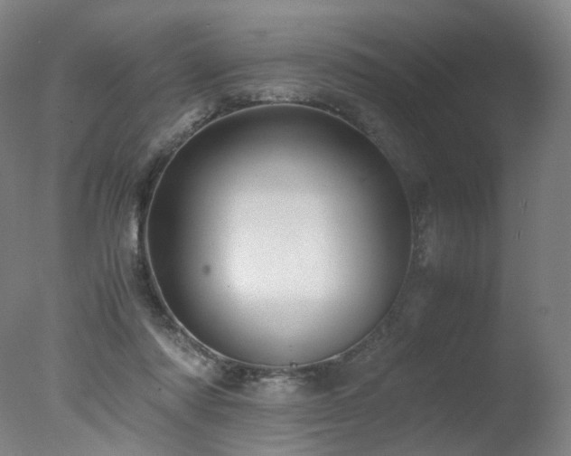 X0000078020310200610271241