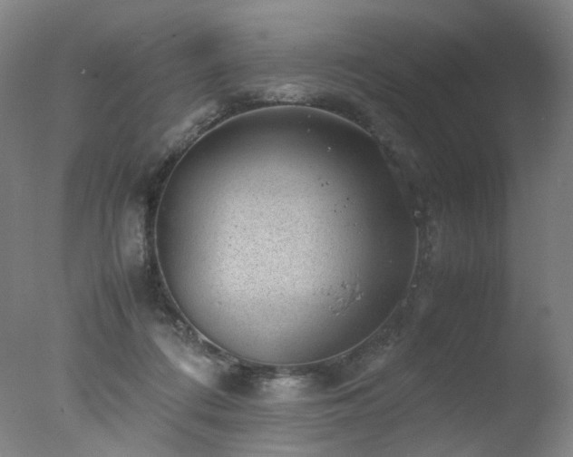 X0000078020312200610271241