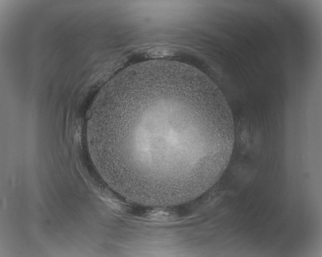 X0000078020315200610271240