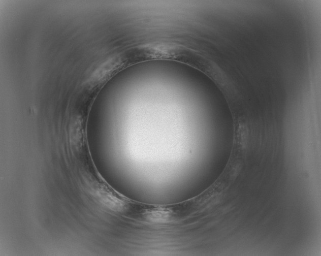 X0000078020318200610271240