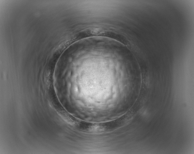 X0000078020319200610271240