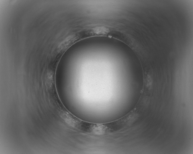 X0000078020321200610271240