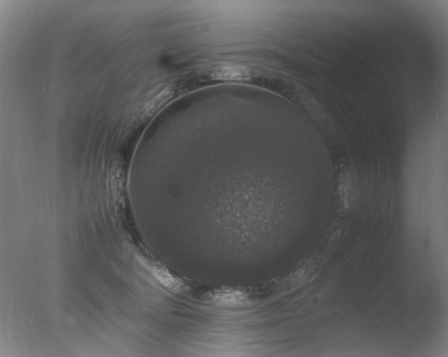 X0000078020322200610271240