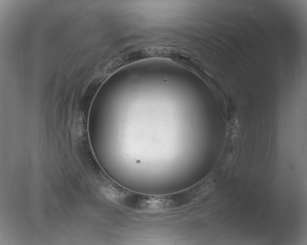 X0000078020323200610271240