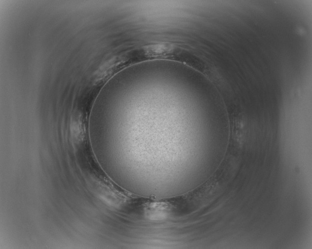 X0000078020324200610271240