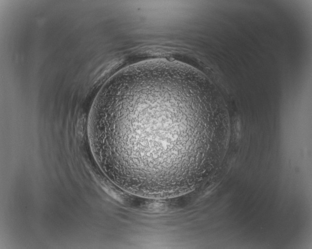 X0000078020325200610271240