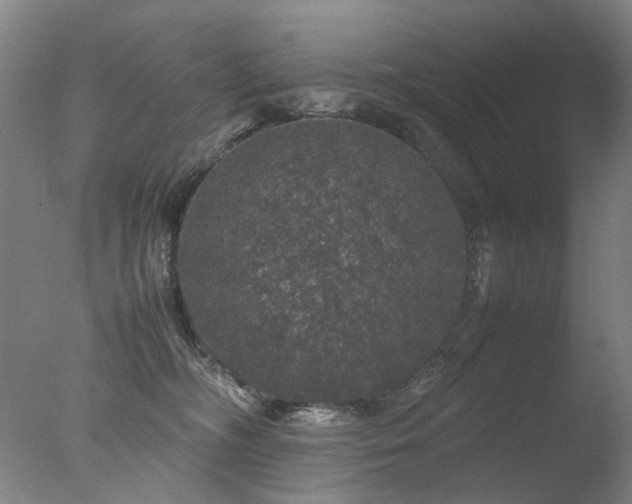 X0000078020326200610271240