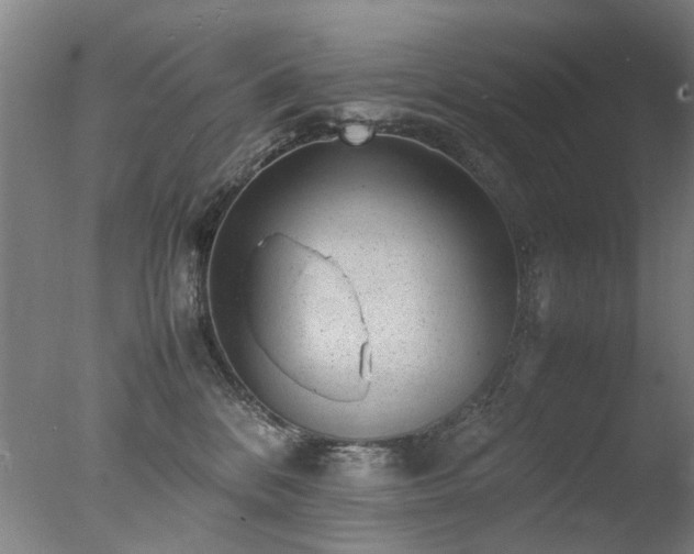 X0000078020328200610271240