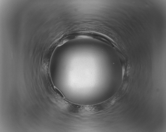 X0000078020329200610271240