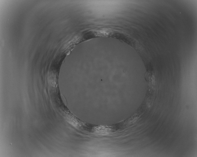 X0000078020331200610271240