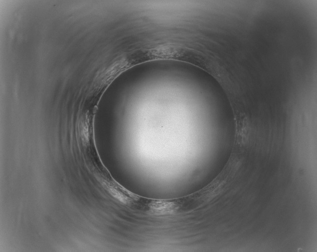 X0000078020334200610271240