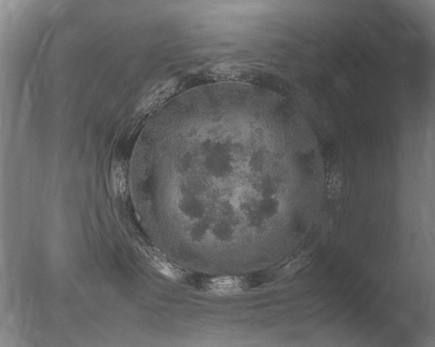 X0000078020335200610271240