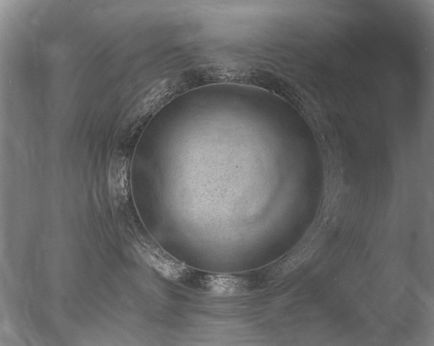 X0000078020336200610271240