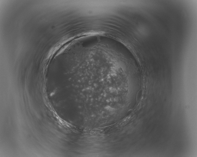 X0000078020337200610271239