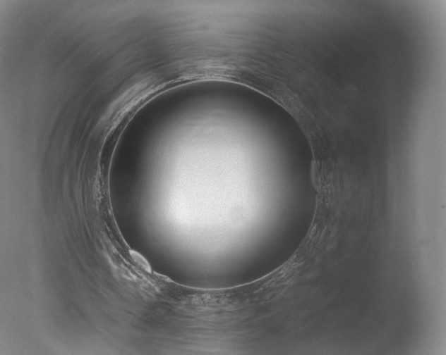 X0000078020338200610271239