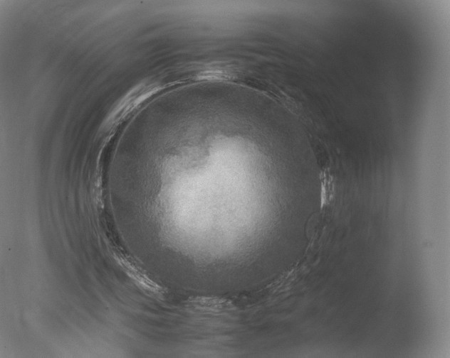 X0000078020339200610271239