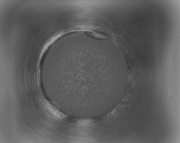 X0000078020342200610271239