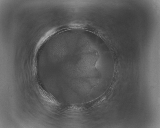 X0000078020343200610271239